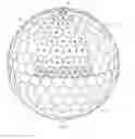 Fig. 09 - Dimple patterns for golf balls