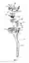 Fig. 04 - Adjustable weighted golf club head