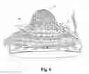 Fig. 07 - Lacrosse head