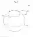 Fig. 02 - DETACHABLE TOY