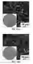 Fig. 40 - Stabilized protein fiber air filter materials and methods
