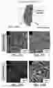 Fig. 44 - Stabilized protein fiber air filter materials and methods