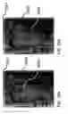 Fig. 32 - Synthesis of superpostion shape images by light interacting with superposed layers of lenslet gratings