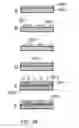 Fig. 35 - Synthesis of superpostion shape images by light interacting with superposed layers of lenslet gratings