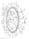 Fig. 03 - Multiple bicycle rear sprocket assembly