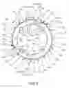 Fig. 04 - Multiple bicycle rear sprocket assembly