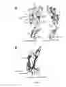 Fig. 07 - Pneumolysin mutants and methods of use thereof