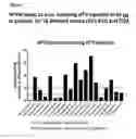 Fig. 02 - CpG REDUCED FACTOR VIII VARIANTS, COMPOSITIONS AND METHODS AND USES FOR TREATMENT OF HEMOSTASIS DISORDERS