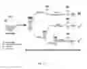 Fig. 02 - Air-stable surface-passivated perovskite quantum dots (QDS), methods of making these QDS, and methods of using these QDS