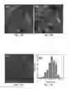 Fig. 06 - Air-stable surface-passivated perovskite quantum dots (QDS), methods of making these QDS, and methods of using these QDS