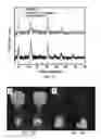 Fig. 07 - Air-stable surface-passivated perovskite quantum dots (QDS), methods of making these QDS, and methods of using these QDS