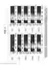 Fig. 09 - Cell survival rate determining device
