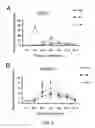 Fig. 06 - Method for applications of nano-sized materials as cell growth regulators / cell growth enhancers for plant, and agent including nano-sized materials