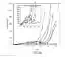 Fig. 06 - Agents and methods to elicit anti-tumor immune response
