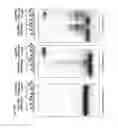Fig. 47 - Methods and compositions for RNA-directed target DNA modification and for RNA-directed modulation of transcription