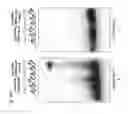 Fig. 48 - Methods and compositions for RNA-directed target DNA modification and for RNA-directed modulation of transcription