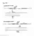 Fig. 71 - Methods and compositions for RNA-directed target DNA modification and for RNA-directed modulation of transcription