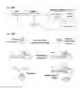 Fig. 97 - Methods and compositions for RNA-directed target DNA modification and for RNA-directed modulation of transcription