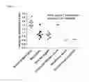 Fig. 07 - DETECTION OF BACTERIAL INFECTION