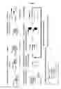 Fig. 02 - Method of analysing DNA sequences