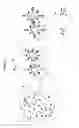 Fig. 02 - PROTEIN AND GENE ANALYSIS FROM SAME SAMPLE