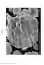 Fig. 09 - Hydride-coated microparticles and methods for making the same
