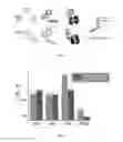 Fig. 05 - Corrosion inhibition