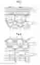 Fig. 05 - FIBER STRUCTURE