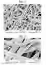 Fig. 02 - Highly functional spunbonded fabric made from particle-containing fibres and method for producing same
