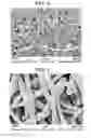 Fig. 03 - Highly functional spunbonded fabric made from particle-containing fibres and method for producing same