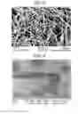 Fig. 04 - Highly functional spunbonded fabric made from particle-containing fibres and method for producing same