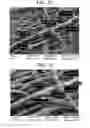 Fig. 08 - Highly functional spunbonded fabric made from particle-containing fibres and method for producing same