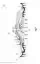 Fig. 03 - Laundry washing machine comprising an impeller