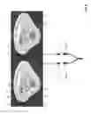 Fig. 07 - Bed illumination and tailgate lock system