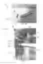 Fig. 15 - Center drop shade mount