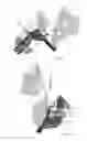 Fig. 06 - Vehicle access device mounted holder for equipment