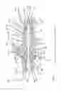 Fig. 02 - Extendable apparatus, drill head and method