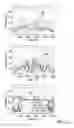 Fig. 08 - Automated spiraling detection