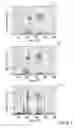 Fig. 10 - Automated spiraling detection