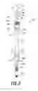 Fig. 07 - Rotating and reciprocating swivel apparatus and method