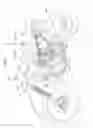 Fig. 02 - Saddle-ridden vehicle
