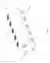 Fig. 04 - Reciprocating pump with improved cross-bore