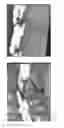 Fig. 03 - Fuel hose with rubber cover layer