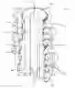 Fig. 01 - Swivel stack