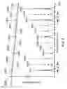 Fig. 08 - Measuring biological analytes using time-resolved spectroscopy