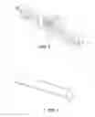Fig. 02 - Method and apparatus for non-destructive inspection of a log to identify inner zones that are free of bluestain