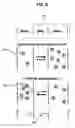 Fig. 06 - CHIRAL CONVERSION OF AMYLOID PROTEINS ASSOCIATED WITH DISEASES