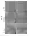 Fig. 09 - CHIRAL CONVERSION OF AMYLOID PROTEINS ASSOCIATED WITH DISEASES