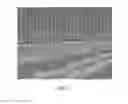 Fig. 08 - Pine shaped metal nano-scaled grating