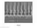 Fig. 09 - Pine shaped metal nano-scaled grating